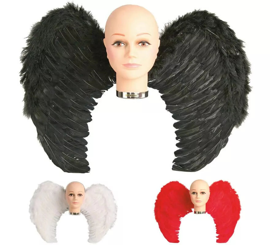 Translation missing: de.Alas con plumas en varios colores 65 x 50 cm