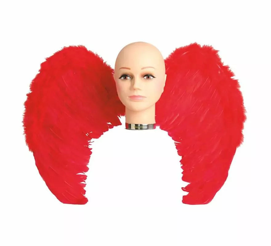 Alas con plumas en varios colores 65 x 50 cm