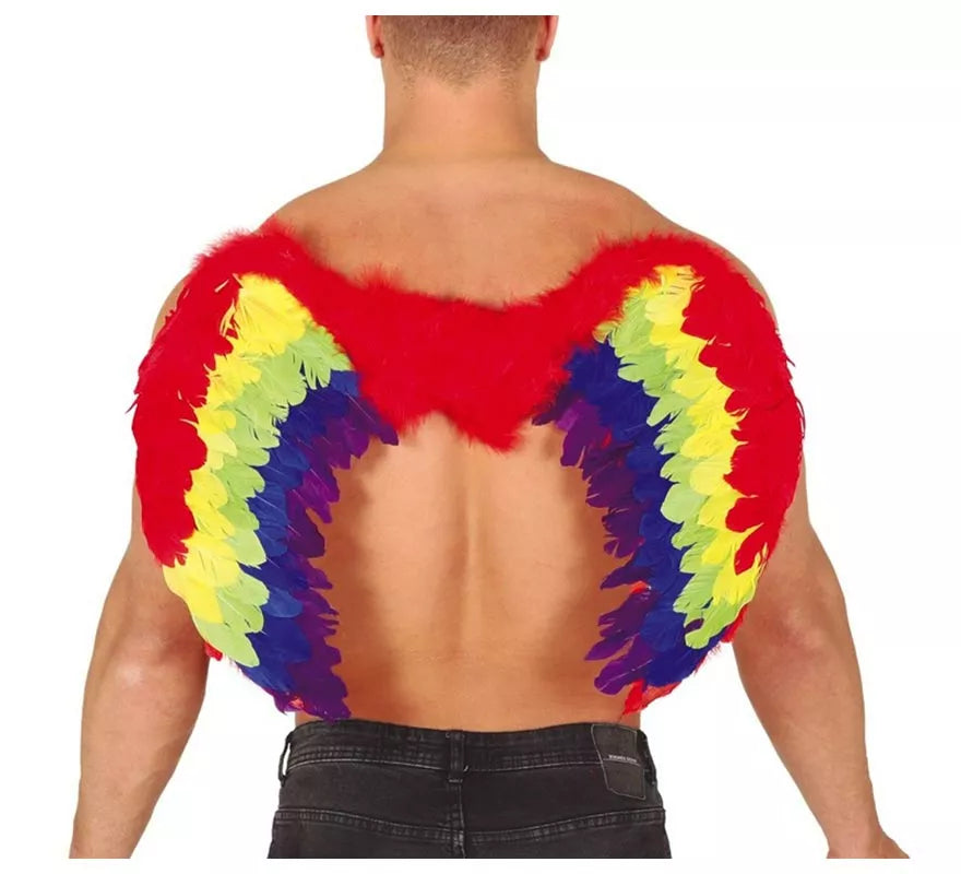 Translation missing: de.Alas de Plumas Multicolor 80 X 50 cm