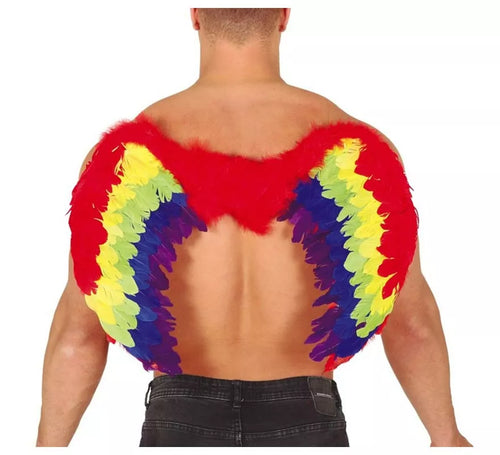 Alas de Plumas Multicolor 80 X 50 cm