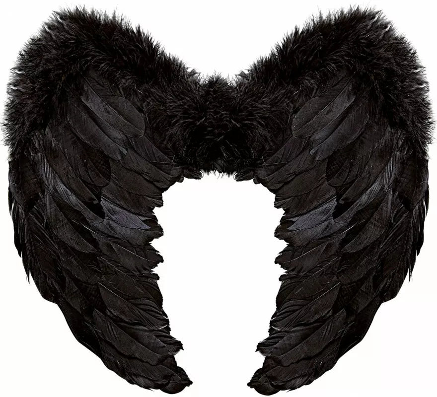 Translation missing: de.Alas de Plumas Negras de 50x40 cm