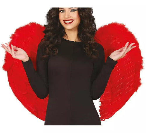 Alas de Plumas rojas 80x55 cm