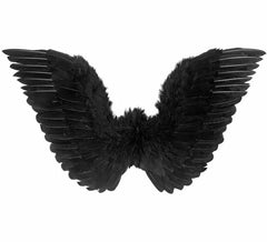 Schwarze Flügel mit Federn 78x36 cm
