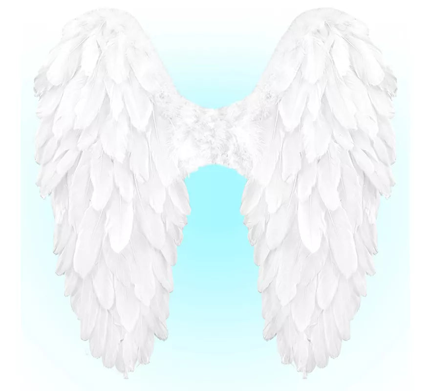 Translation missing: de.Alas Plegables de Plumas de 50x50 cm en varios colores