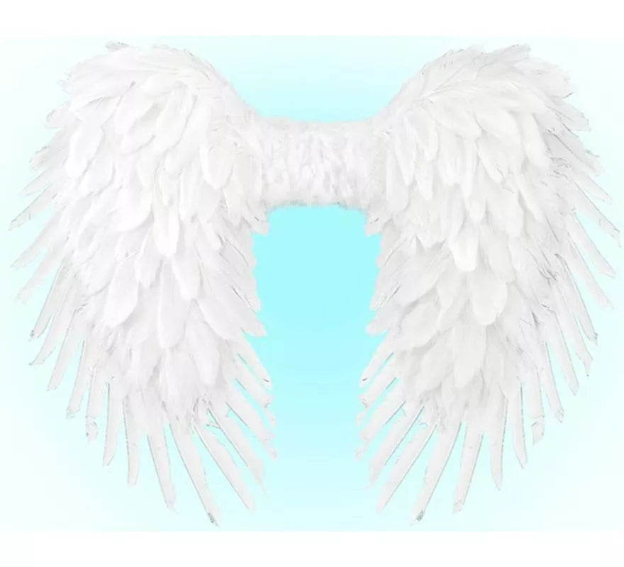 Translation missing: de.Alas Plegables de Plumas de 80x60 cm en varios colores