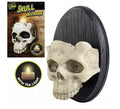 Aplique Calavera con Luz de 30,5X20,3X12,7 cm