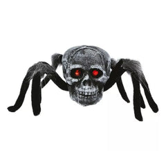 Spinne 34 cms