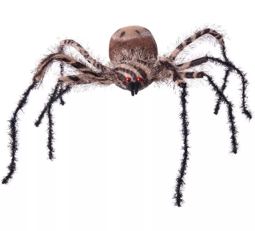 Translation missing: de.Araña Cebra Grande de 54x44x10 cm