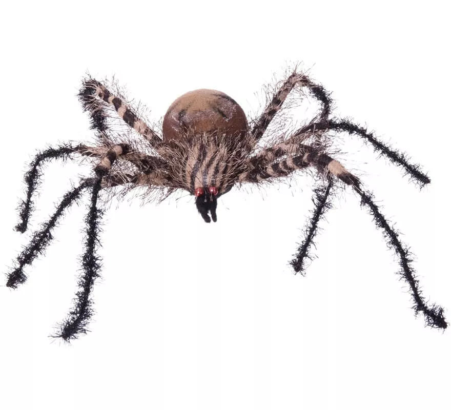 Translation missing: de.Araña Cebra Pequeña de 38x34x8 cm