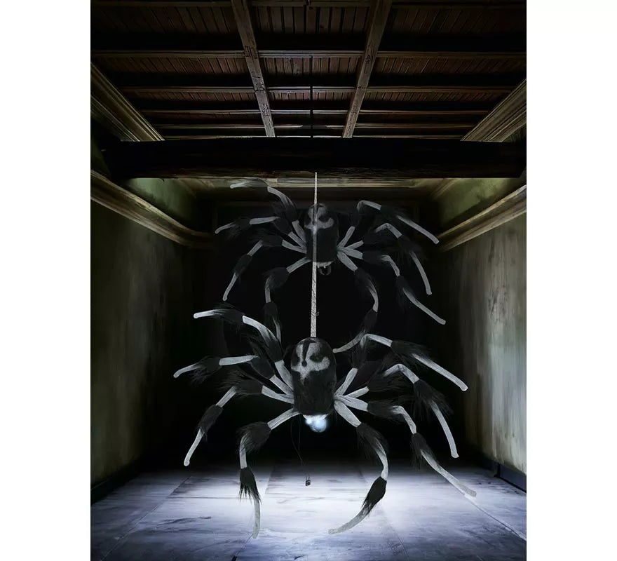 Translation missing: de.Araña con Luz de Sonido y Movimiento de 80 cm