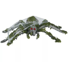 22 cm große Moosspinne