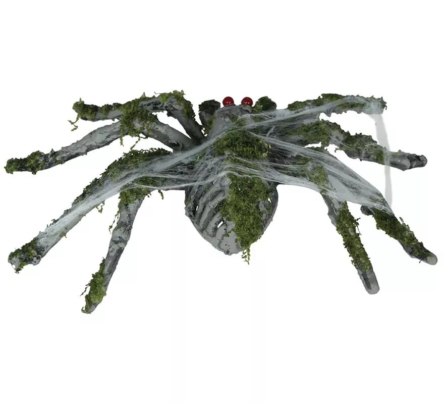 Translation missing: de.Araña con Musgo de 22 cm