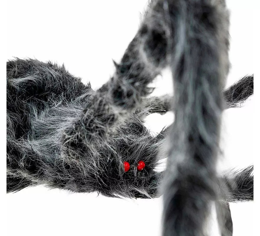 Translation missing: de.Araña gris patas largas y finas de 80x18x8 cm