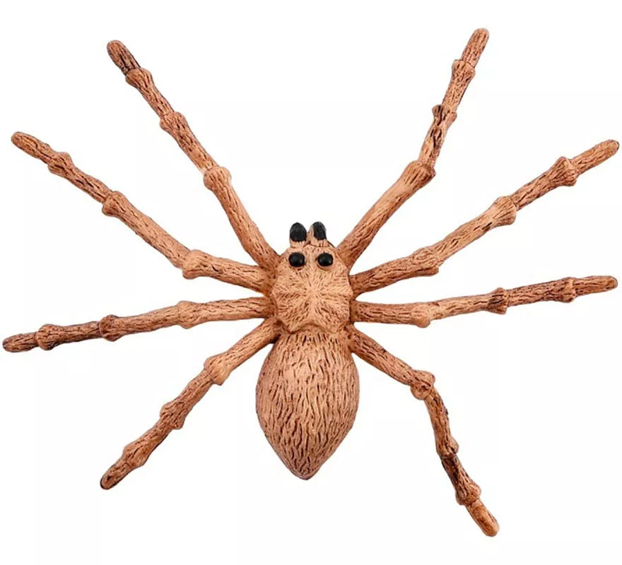 Translation missing: de.Araña marrón 15x11.5 cm