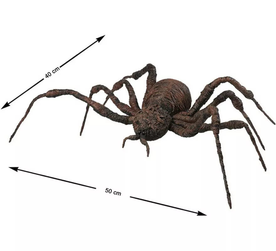 Translation missing: de.Araña Marrón de 50x40 cm