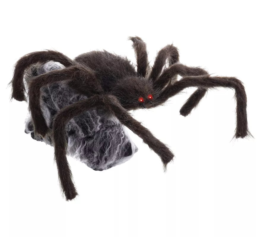 Translation missing: de.Araña marrón y negra de 28x50x70 cm