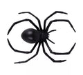 Araña Negra Aterradora de 16X12,5X3 cm