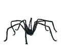 Araña negra patas finas de 28x43 cm