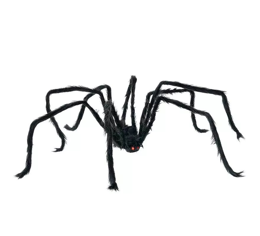 Translation missing: de.Araña negra patas finas de 28x43 cm