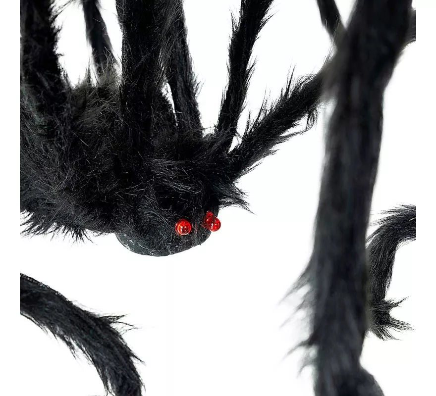 Araña negra patas finas de 28x43 cm