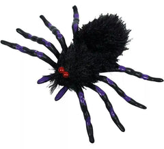 Schwarze und Lila Spinne 18x12 cm