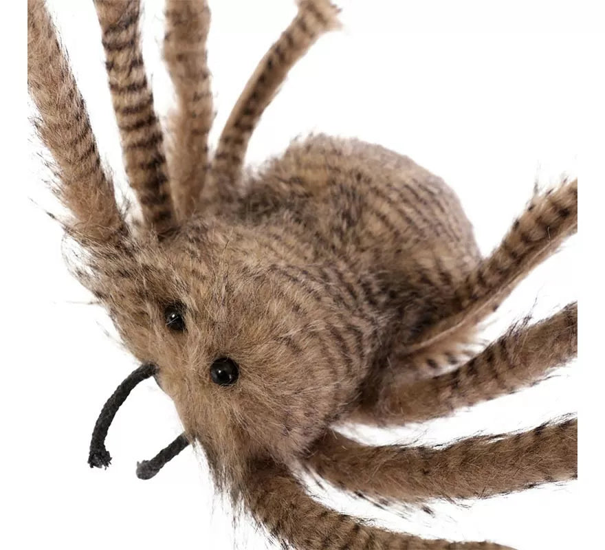Translation missing: de.Araña Patas Largas de 138x70x25 cm