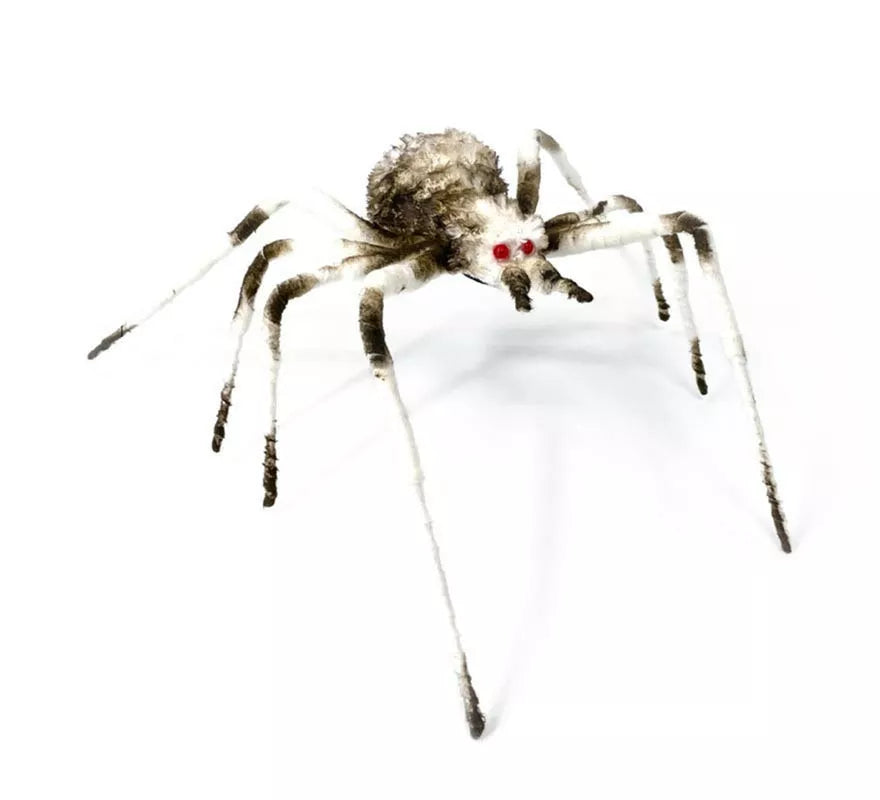 Translation missing: de.Araña patas largas de 6X58X17 cm