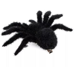 Haarige Spinne
