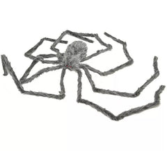 230 cm große haarige Spinne