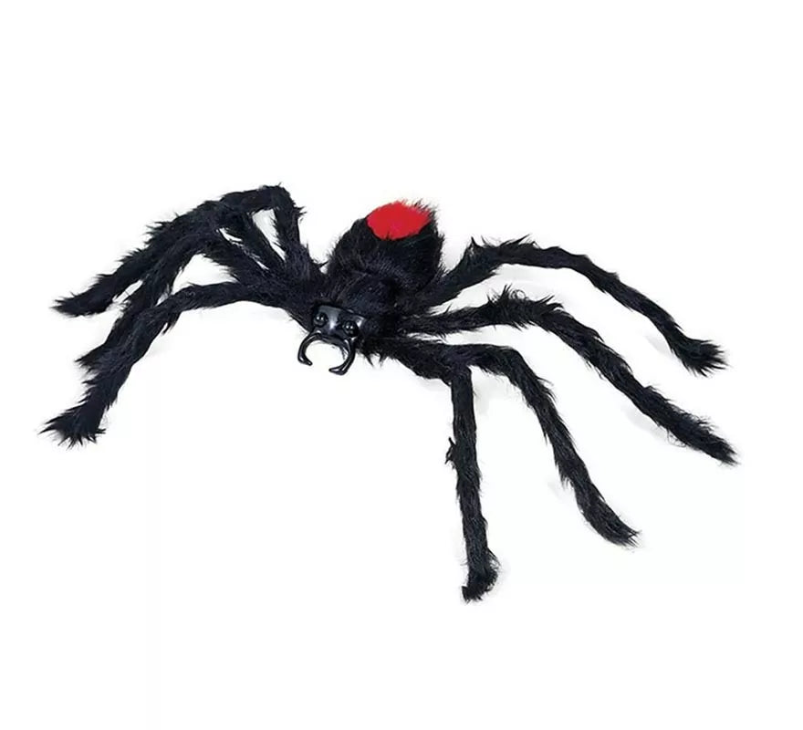 Translation missing: de.Araña Peluda negra lomo rojo de 60 cm