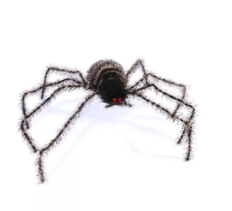 Translation missing: de.Araña peluda patas largas de 70 cm