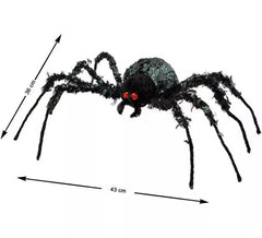 Rotäugige Grüne Spinne 43x36 cm