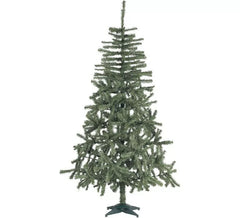 Douglas Weihnachtsbaum von 696 Zweigen von 210 cm mit Metallfuß