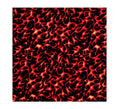 Bandana Motero fuego de 54x54 cm