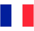 Bandera de Francia de 90x147 cm
