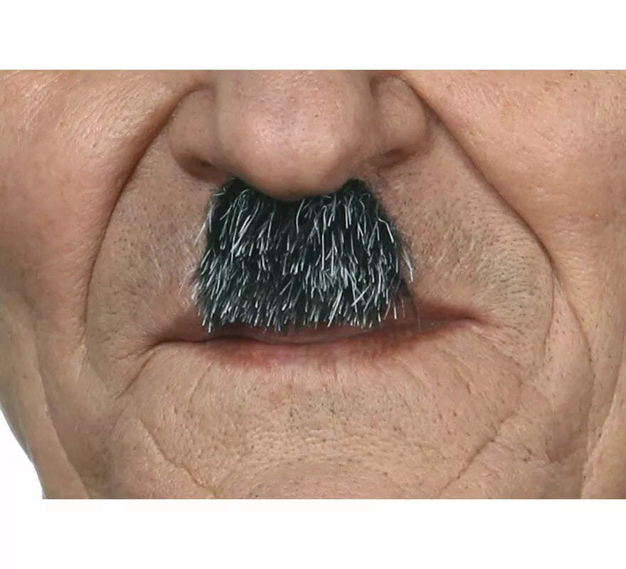 Translation missing: de.Bigote de Charlot canoso