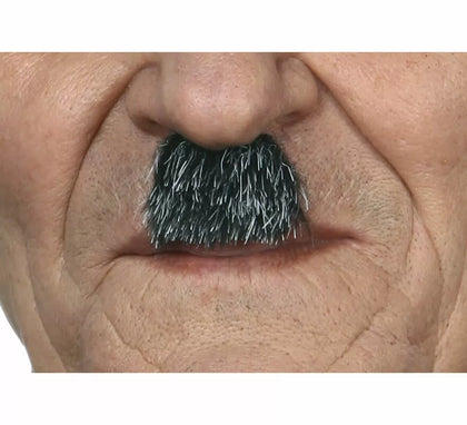 Bigote de Charlot canoso