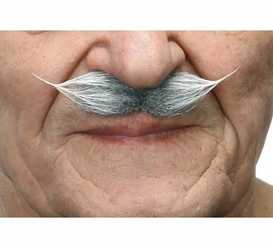 Translation missing: de.Bigote de Época canoso