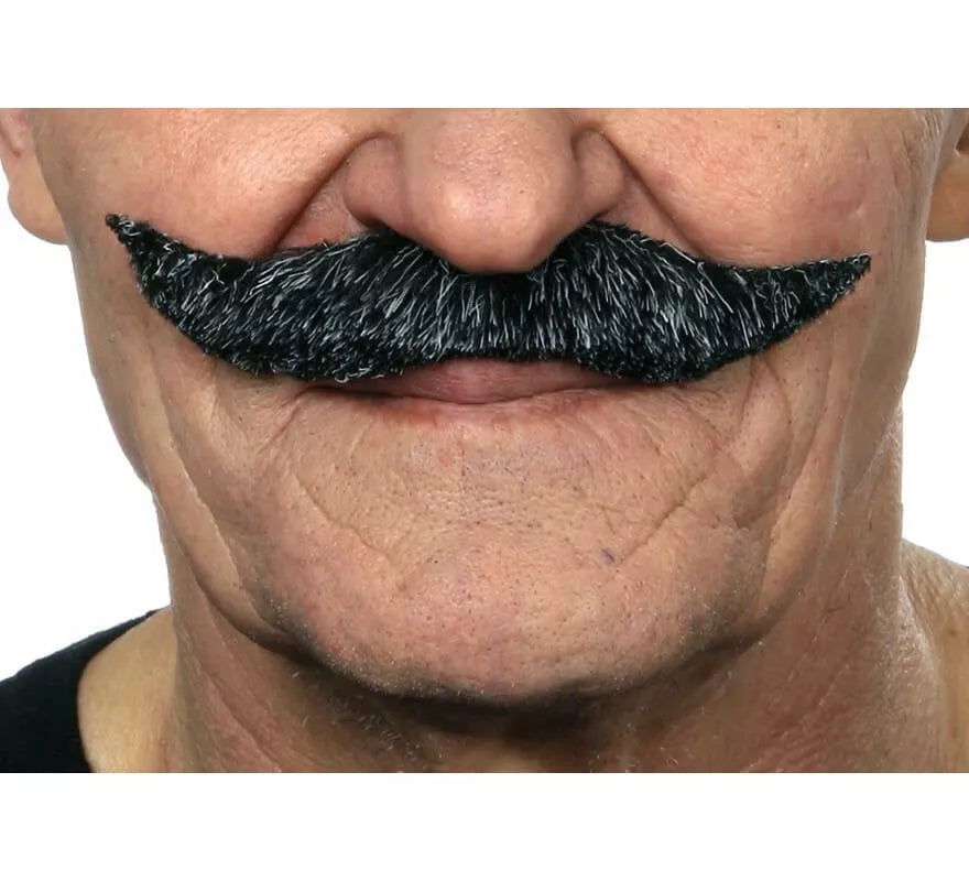 Translation missing: de.Bigote de Inglés negro canoso