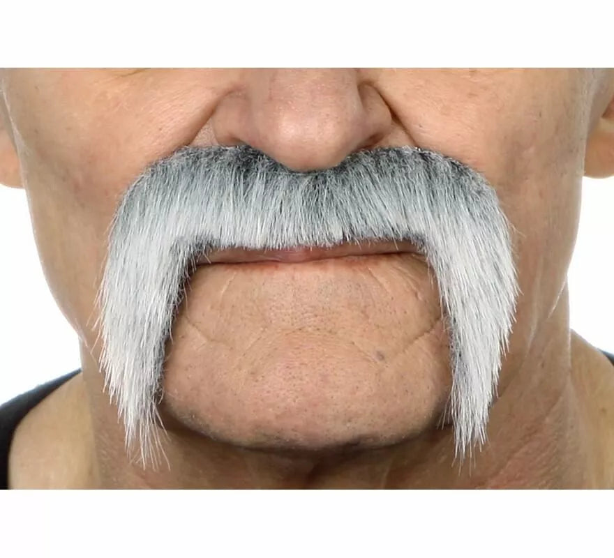 Translation missing: de.Bigote de Mexicano canoso