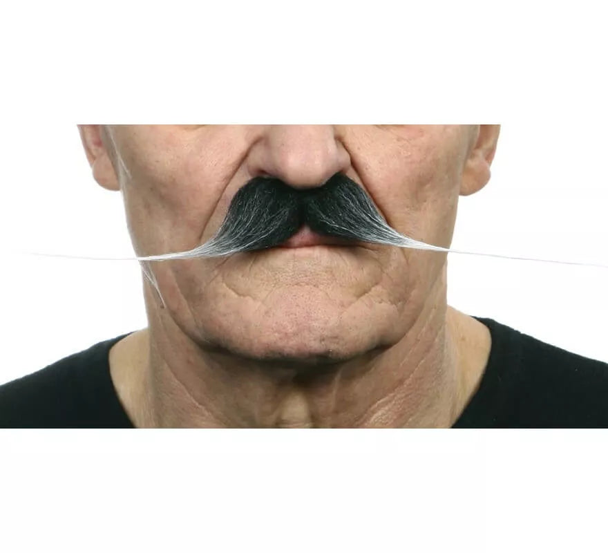 Translation missing: de.Bigote grande canoso