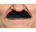 Bigote negro de Chico Disco