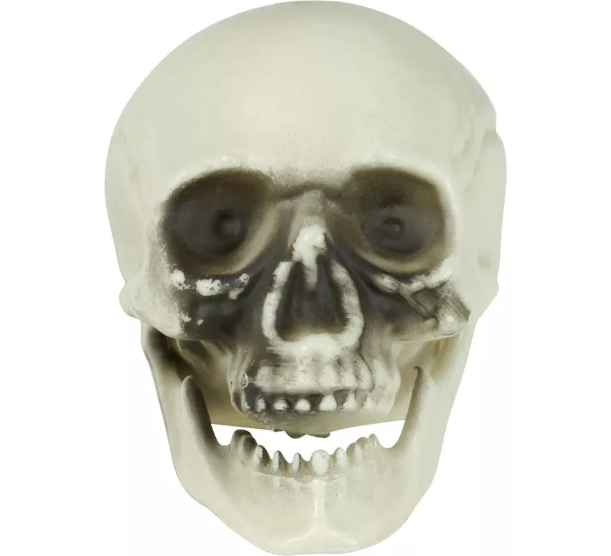 Translation missing: de.Bolsa 6 Calaveras de 6 cm