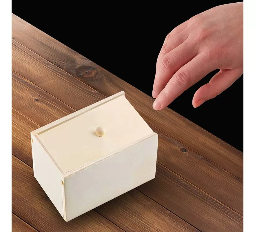 Translation missing: de.Caja de Madera con Araña de Broma