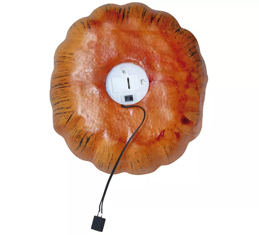 Translation missing: de.Calabaza 20 cms