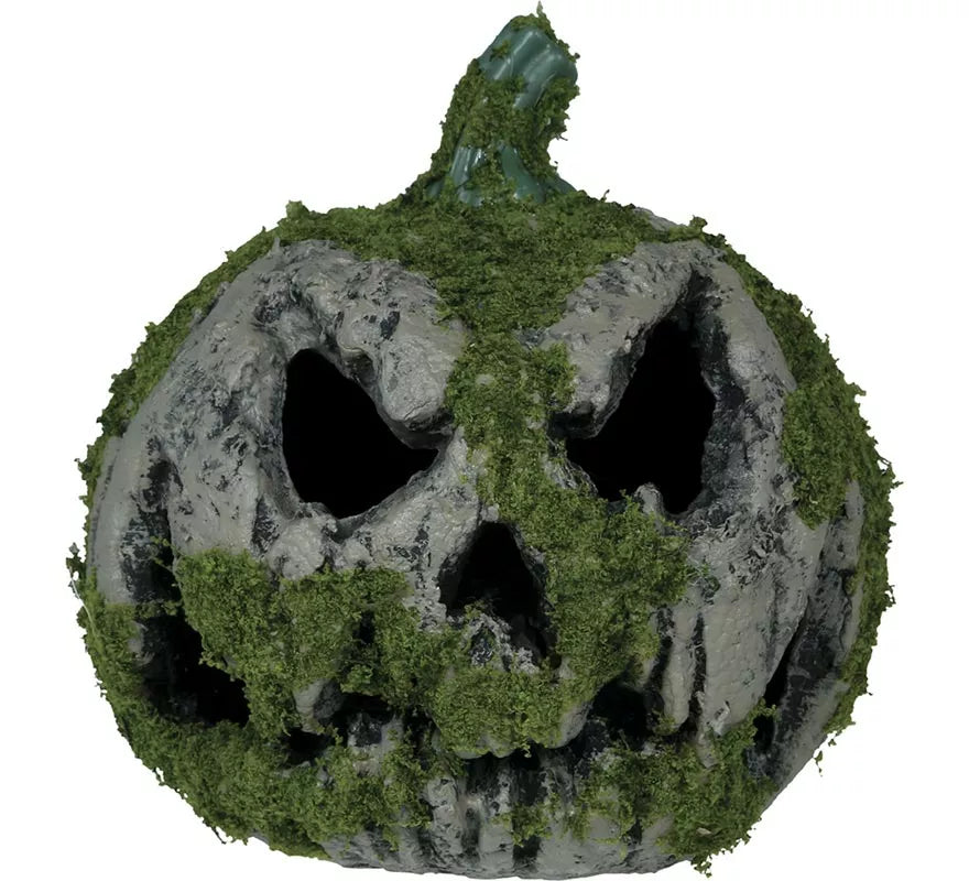 Translation missing: de.Calabaza con Musgo y Luz de 20 cm