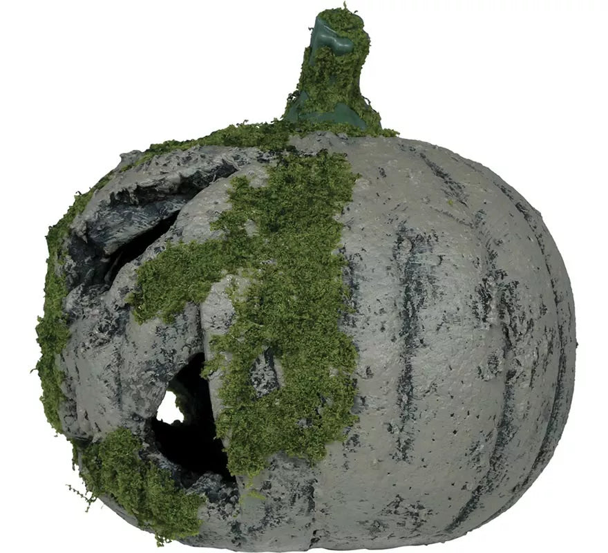 Translation missing: de.Calabaza con Musgo y Luz de 20 cm