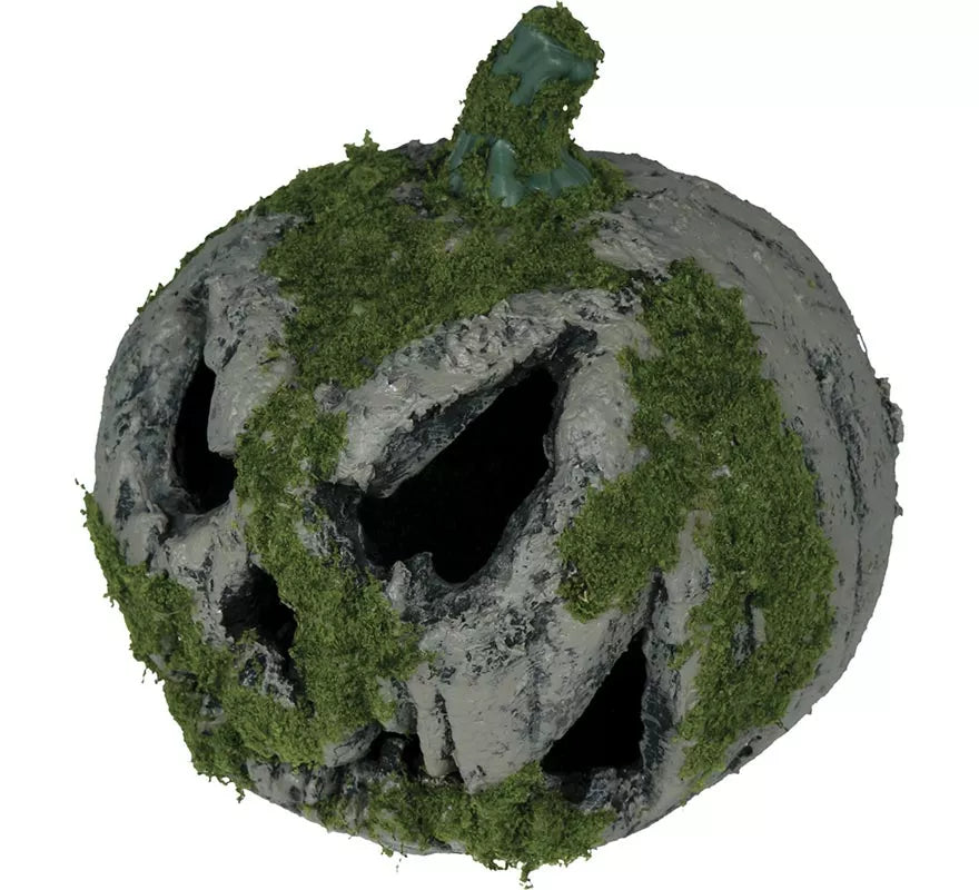 Translation missing: de.Calabaza con Musgo y Luz de 20 cm