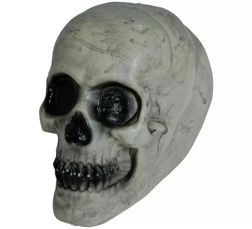 Calavera 20 cm