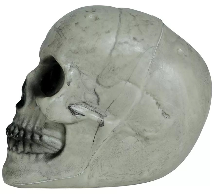 Translation missing: de.Calavera 20 cm